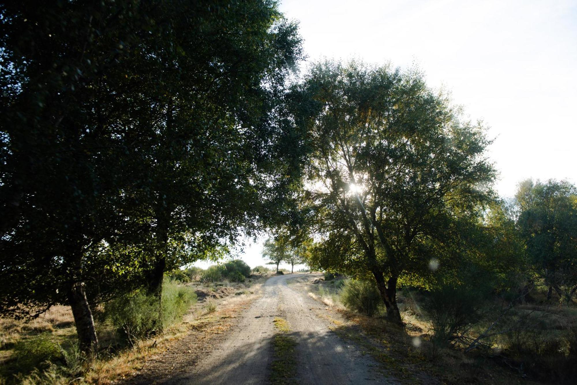 A Lagosta Perdida Montezinho Dış mekan fotoğraf