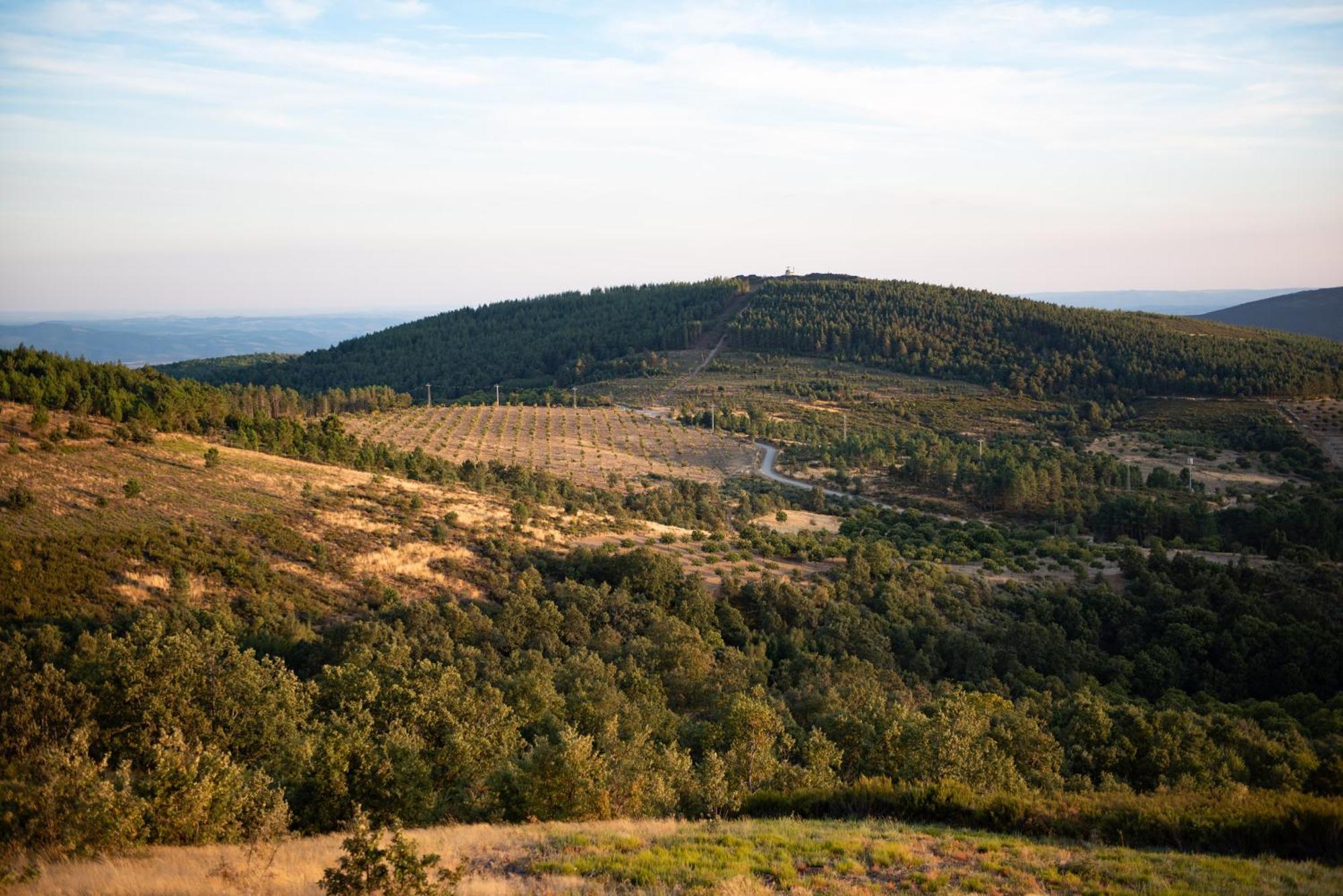 A Lagosta Perdida Montezinho Dış mekan fotoğraf