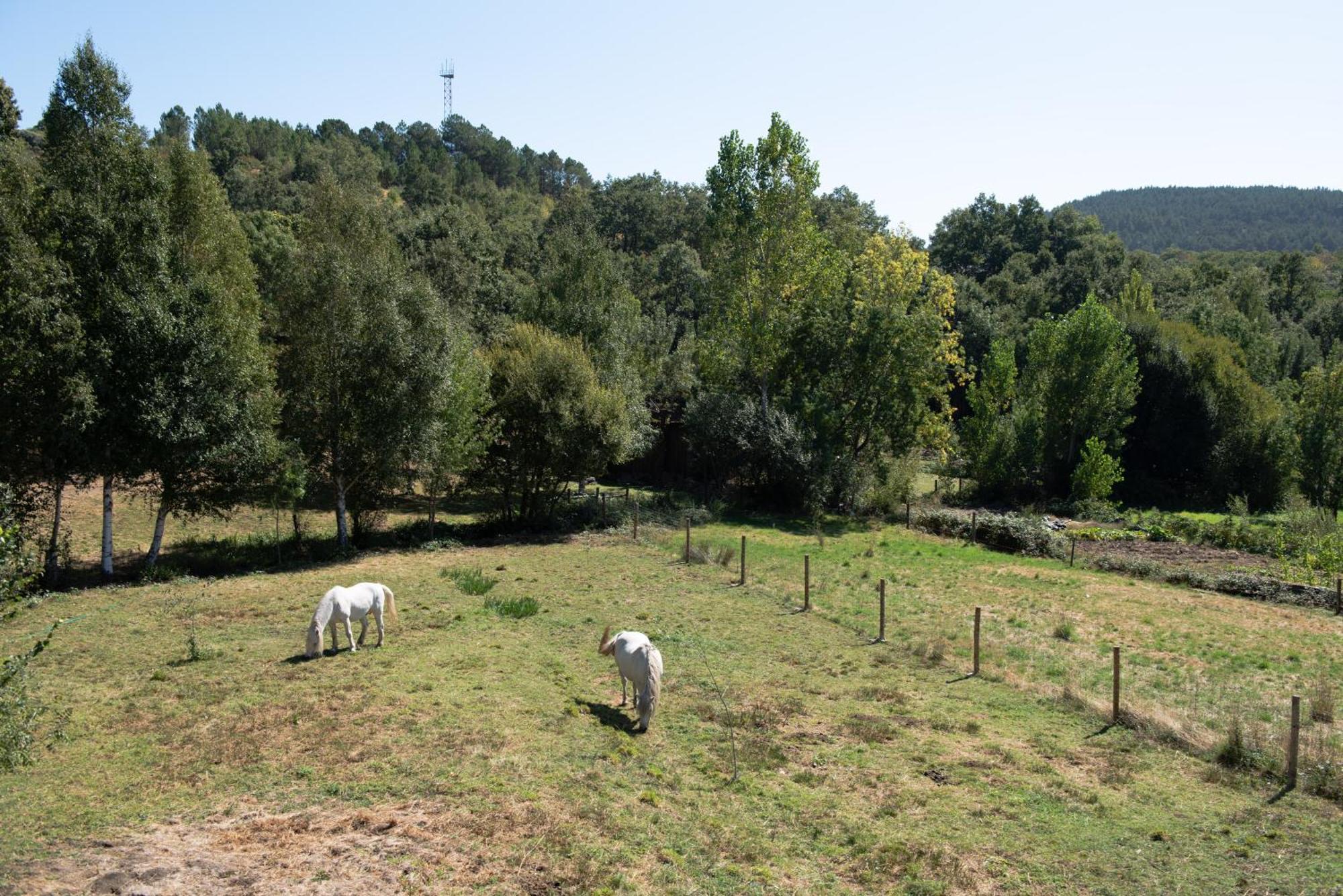 A Lagosta Perdida Montezinho Dış mekan fotoğraf